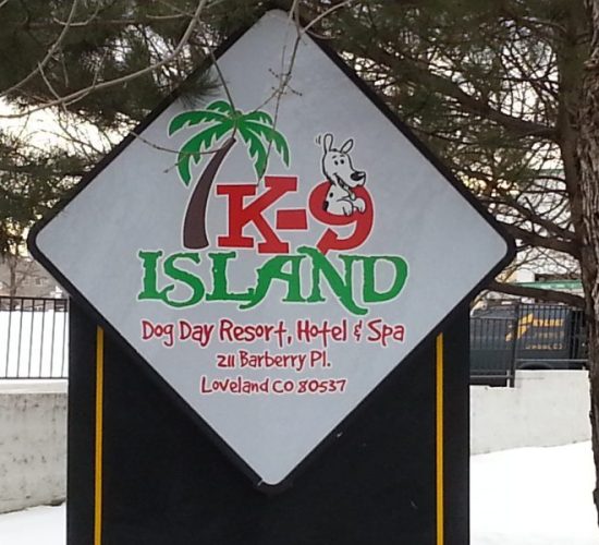 Professional Signage Solutions