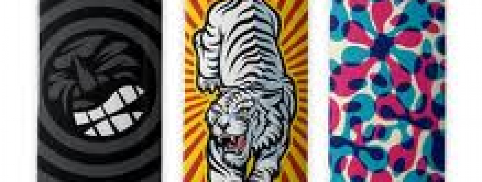 Skateboard Decals and Install e3 Signs